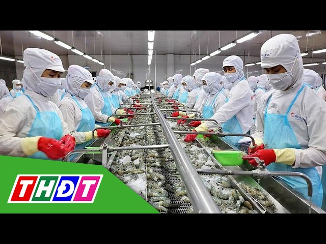 ⁣Xuất khẩu thủy sản sắp đạt mức 10 tỷ USD | THDT