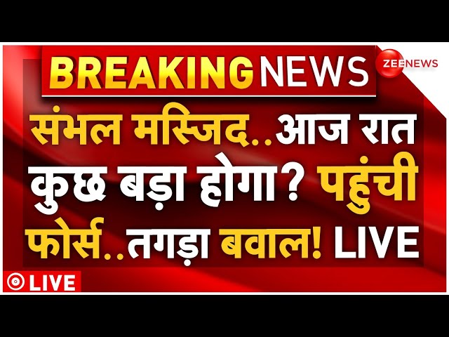 ⁣Force Big Action in Sambhal Jama Masjid Clash LIVE: संभल जामा मस्जिद..जल्द कुछ बड़ा होगा? | CM Yogi