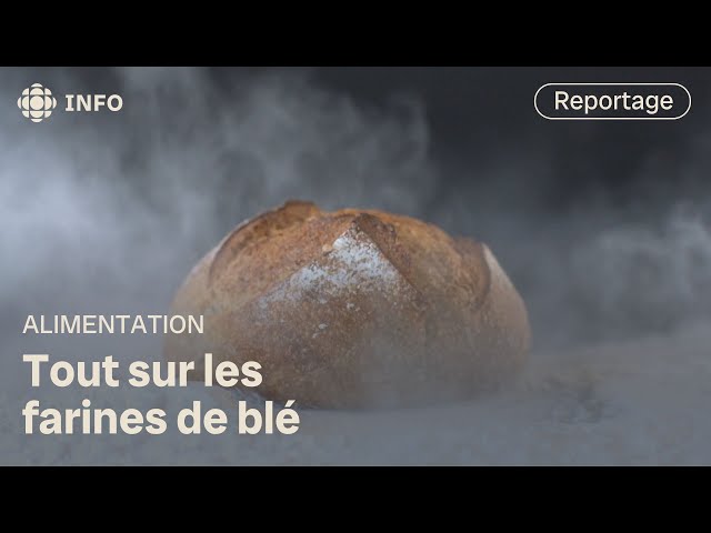 ⁣Farines à pâtisserie, pain, pizza, tout usage… du pareil au même? | L'épicerie