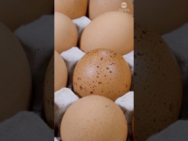 ⁣Recall for Costco organic eggs