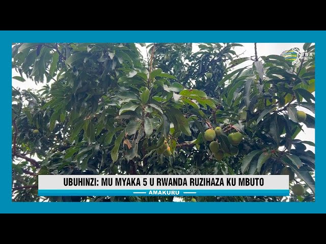 ⁣Mu myaka 5 u Rwanda ruzihaza ku mbuto- MINAGRI