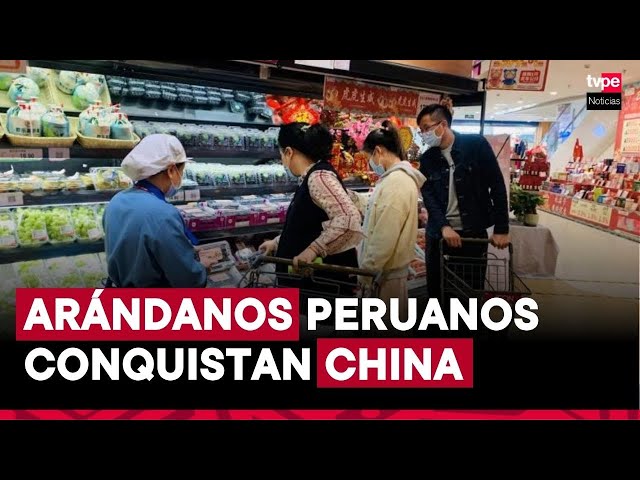 ⁣Arándanos peruanos en Beijing: la fruta que conquista a los consumidores chinos