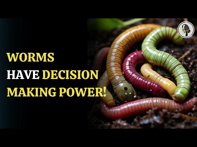 ⁣Worms Have Decision Making Power! | WION Podcast