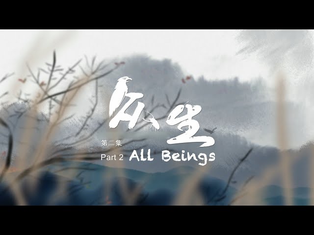 ⁣Wuyi Mountains: Our National Park (Episode 2) | All Beings