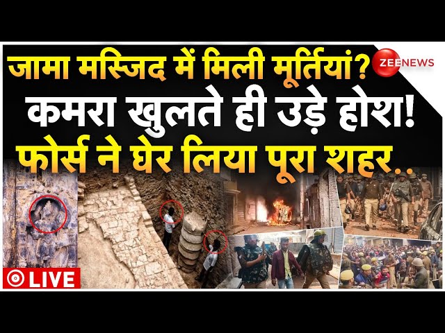 ⁣Hindu Idols found in Sambhal Jama Masjid! LIVE: जामा मस्जिद के सर्वे में हुआ बड़ा खुलासा! | CM Yogi