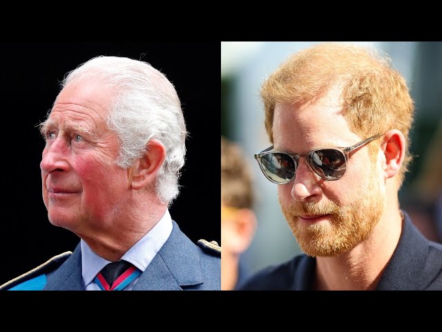 ⁣Communications virtually ‘non-existent’ between King Charles and Prince Harry