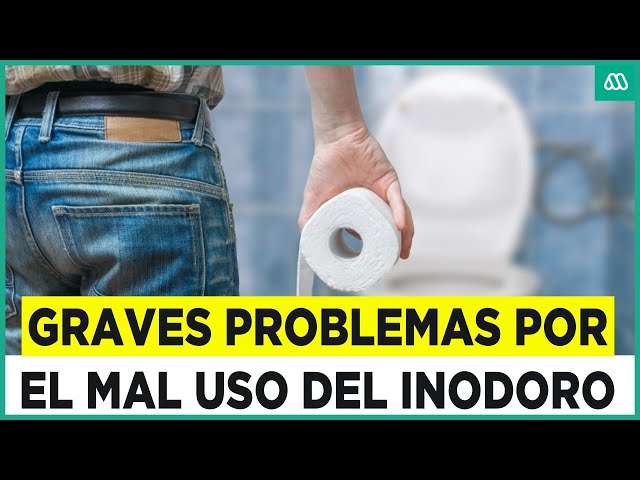 ⁣¡Podría generar un gran problema!: Chilenos utilizan el WC para tirar basura