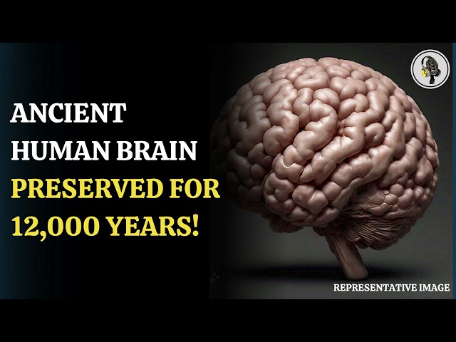 ⁣12,000-Year-Old Human Brains Defy Decomposition. | WION Podcast