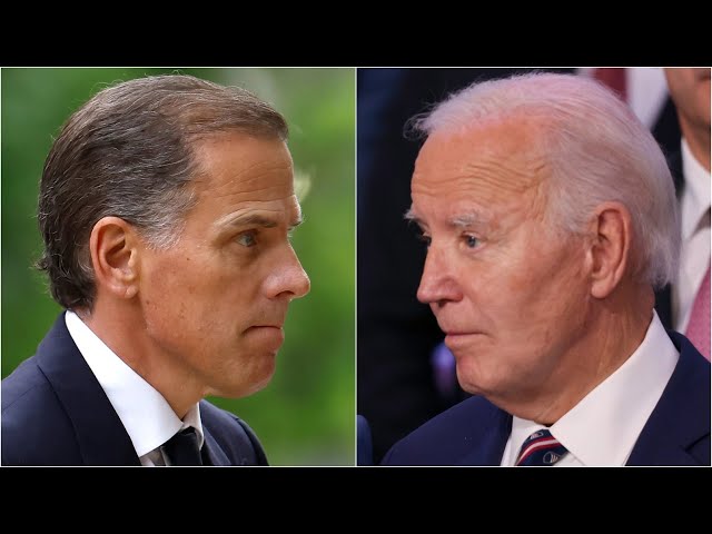 ⁣'It looks a bit strange': World reacts after Joe Biden pardons his son Hunter