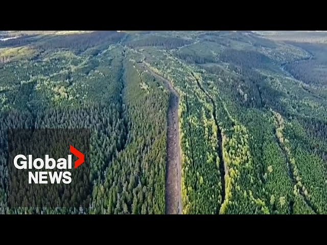 ⁣BC pipeline project in limbo as Hereditary chiefs raise concerns