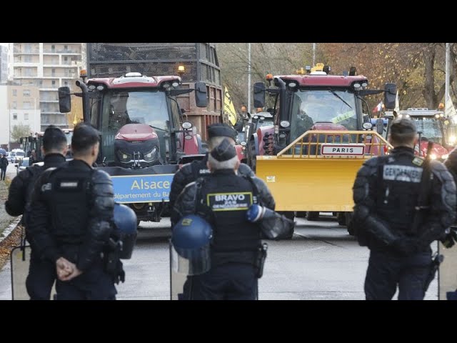 ⁣Kann Frankreich das Mercosur-Handelsabkommen blockieren?