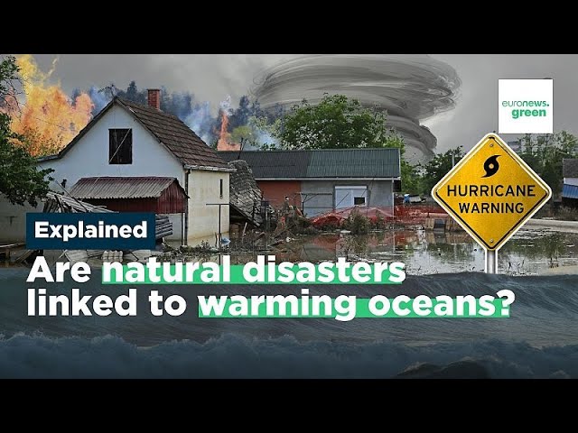 ⁣Storms, droughts, Mediterranean hurricanes: Are marine heatwaves making natural disasters worse?