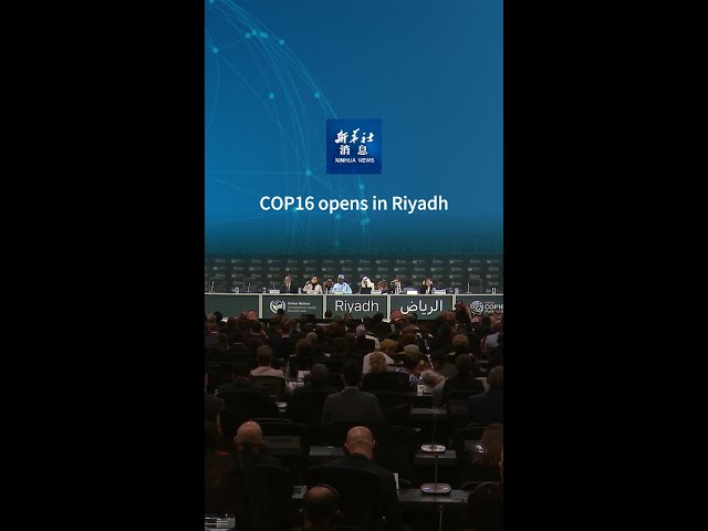 ⁣Xinhua News | COP16 opens in Riyadh