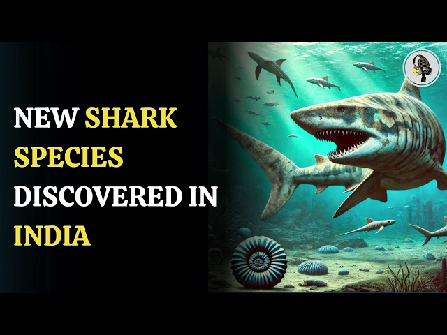 ⁣Shark Species Discovered In India, Rajasthan | WION Podcast