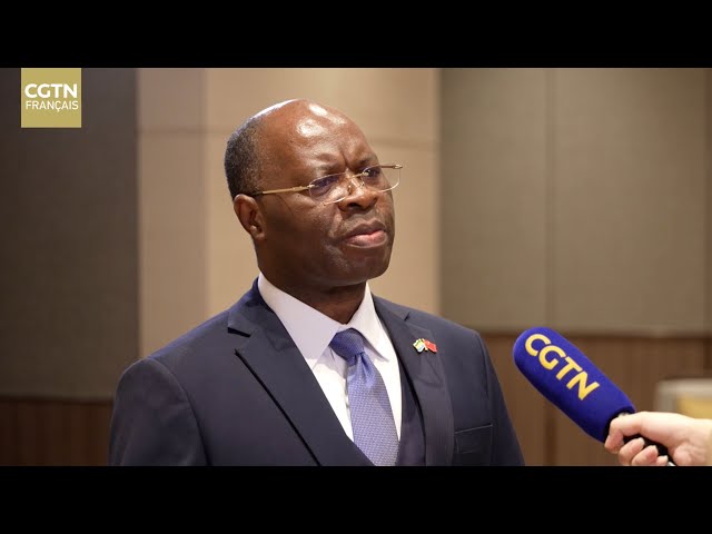 ⁣L'Ambassadeur du Gabon en Chine salue l'Initiative « la Ceinture et la Route »