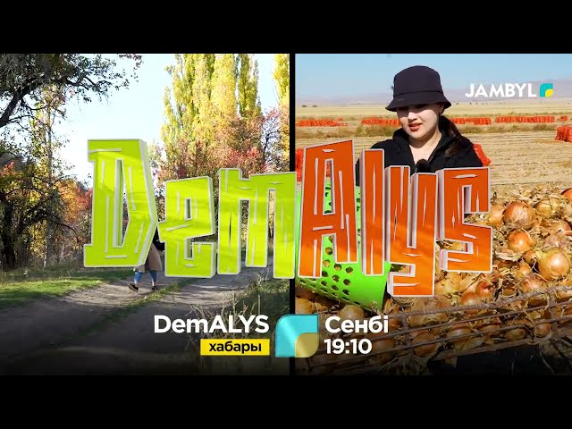 ⁣"DemALYS " бағдарламасының арулары -Қордай ауданында