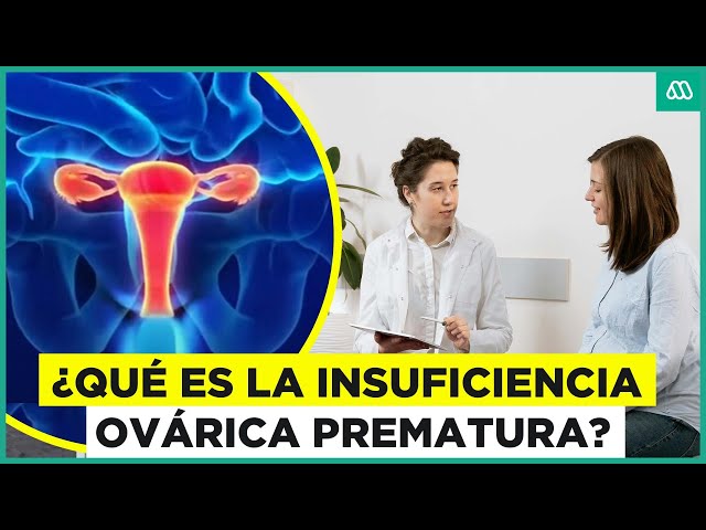 ⁣Insuficiencia ovárica prematura: ¿Qué es y cómo afecta a las mujeres?