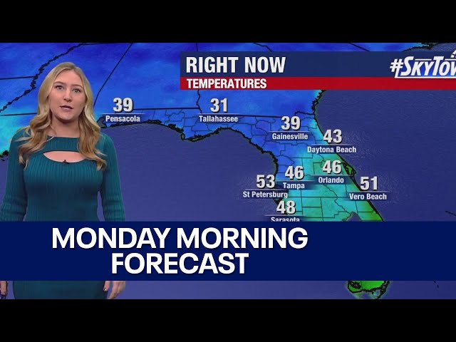 ⁣Tampa weather | Monday morning forecast