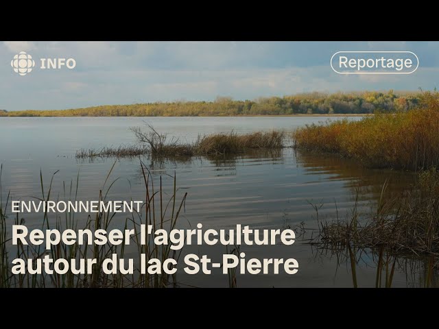 ⁣Lac St-Pierre : revoir les pratiques agricoles dans le littoral | La semaine verte