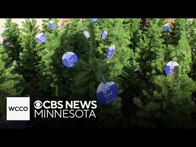 ⁣Tommy's Trees keep teen's memory alive in west metro