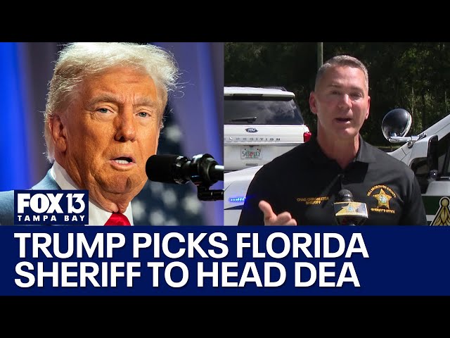 ⁣Trump picks Hillsborough Sheriff Chad Chronister to head DEA