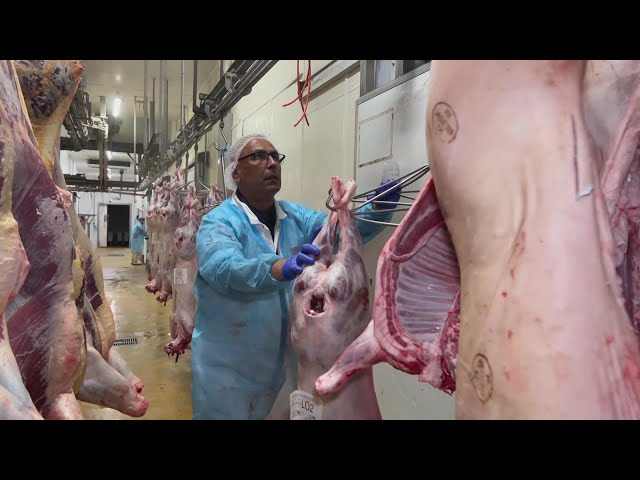 ⁣Economie : quel est l'avenir pour l'abattoir de Bergerac ?