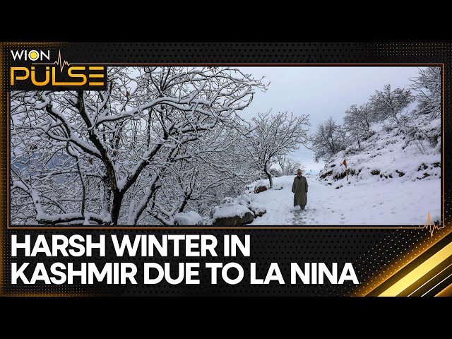 ⁣Jammu Kashmir Braces For Severe And Harsh Winter With La Nina Impact | WION Pulse