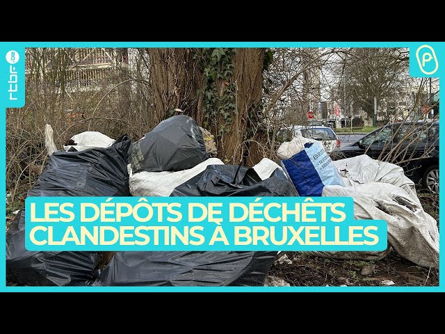 ⁣Dépôts de déchets clandestins à Bruxelles : le fléau de la propreté - On n'est pas des Pigeons