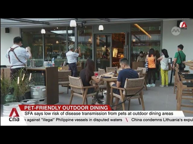 Restaurants can serve patrons with pets in outdoor settings without SFA approval from 2025