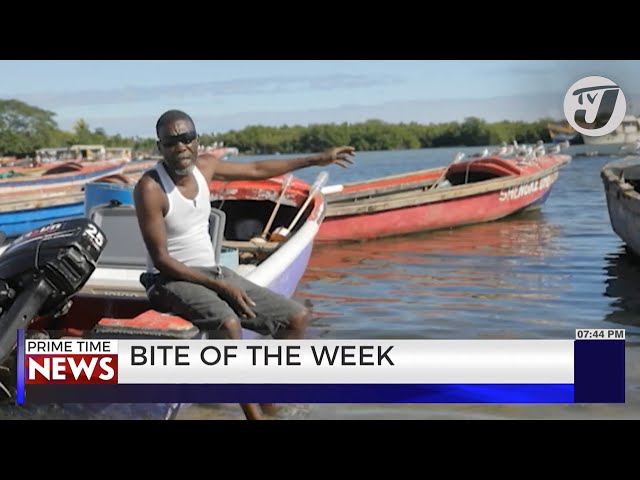 'Climate Change a Eat off the Whole a Di Land Bredda' Old Harbour Bay Fisherman #BOTW | TV