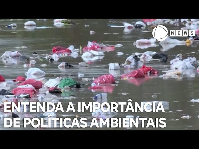 ⁣Conexão Verde: especialista fala sobre urgência de políticas ambientais