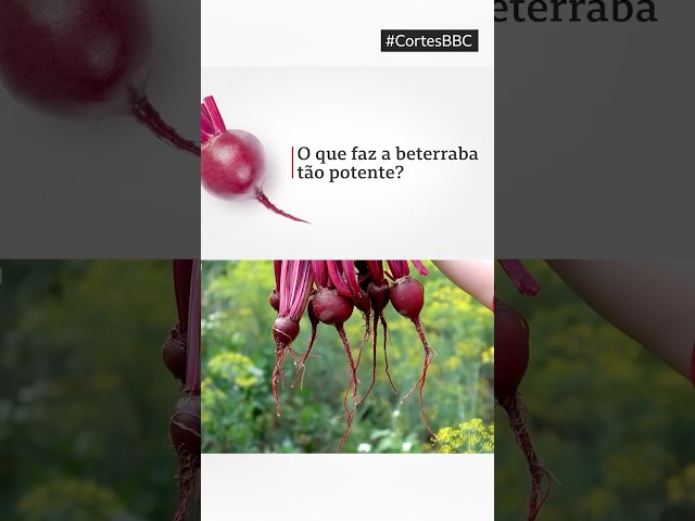⁣Beterraba: como ela pode melhorar sua saúde e até seu treino? #bbcnewsbrasil #cortesbbc