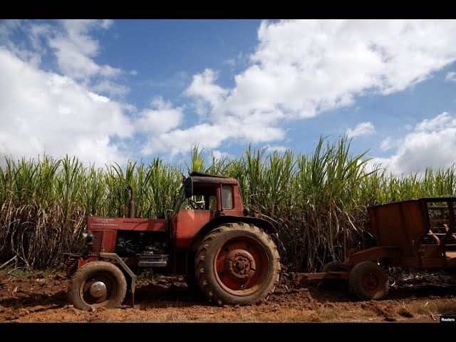 Info Martí | Inicia la “peor” zafra azucarera en Cuba