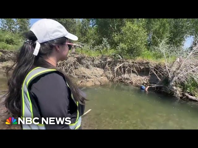 ⁣Forensics team investigating indigenous cold cases