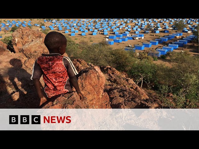 ⁣People in Darfur used 'as pawns in Sudan civil war', says UN | BBC News