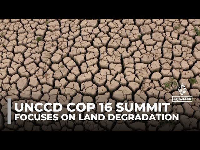 ⁣UNCCD COP 16 summit in Saudi Arabia tackles urgent land degradation and desertification issues