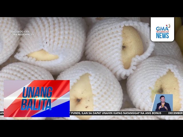 ⁣Ilang mamimili, sinisikap na maipasok ang prutas sa kanilang budget para sa Pasko | Unang Balita