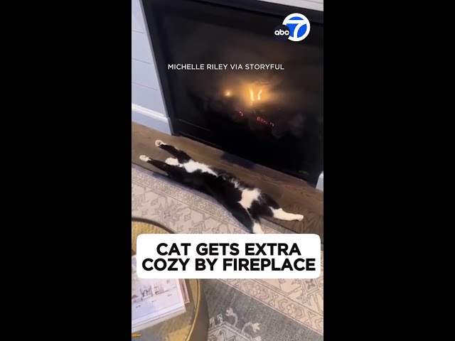 ⁣Cat gets purrfectly cozy by fireplace