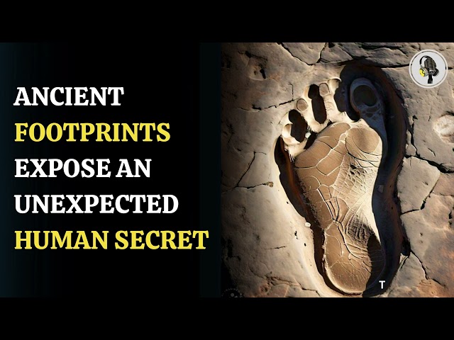 ⁣Ancient Footprints Reveal 1.5 Million Years of Human Coexistence |  WION Podcast