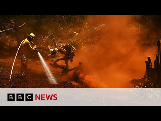 ⁣Top UN court to rule on key climate questions | BBC News