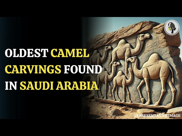 ⁣Oldest Camel Carvings Found in Saudi Arabia | WION Podcast