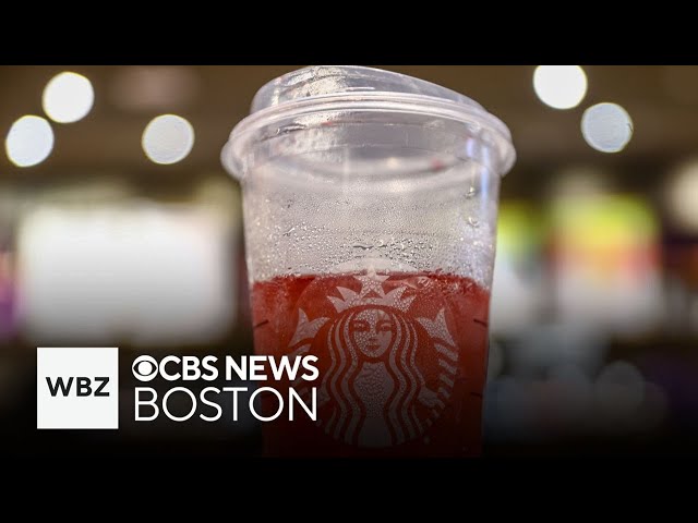 Many cups recycled at Starbucks end up in trash