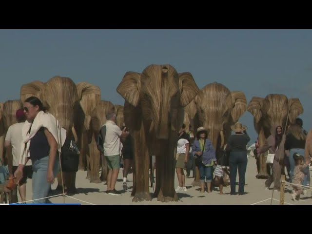 ⁣Great Elephant Migration captivates visitors at Art Week