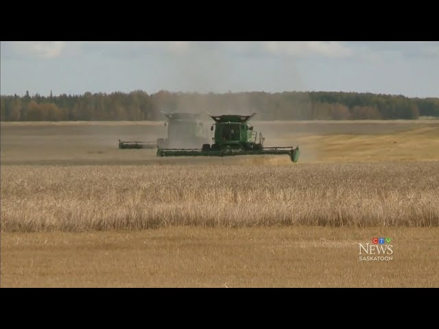 ⁣Saskatchewan farmers concerned over Trump's tariff threats