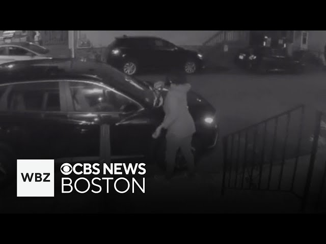 ⁣Video shows woman leaving handfuls of rocks on cars in Everett