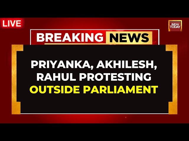 ⁣LIVE: Priyanka,  Rahul Gandhi & Akhilesh Yadav Protesting Outside Parliament | Parl Winter Sessi