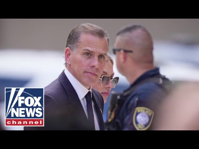 ⁣Former Trump impeachment attorney says Hunter Biden’s pardon could backfire