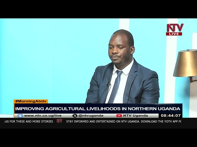 ⁣Improving agricultural livelihoods in northern Uganda |Morning At NTV