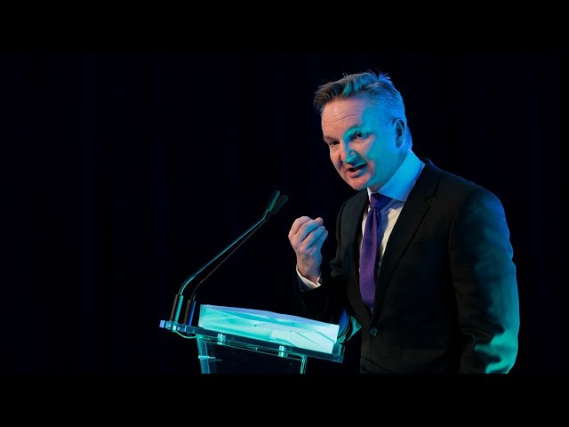 ‘Gaslighting’: Chris Bowen ‘digging an enormous hole’ for himself amid energy crisis