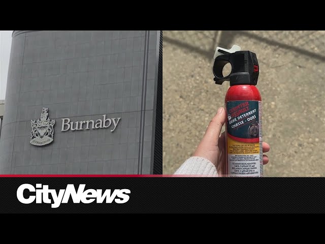 ⁣Burnaby looks at tightening rules around bear spray